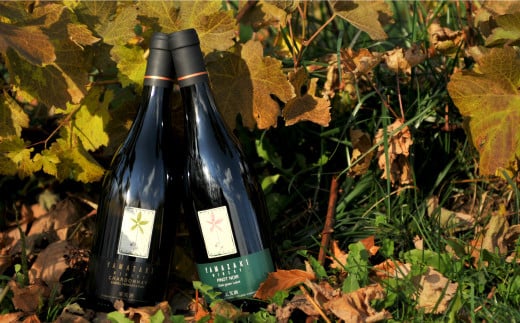 äžåã·ã§ãæšå¥šïŒå±±åŽã¯ã€ã³(èµ€ã»çœïŒæ¬ã»ãã)å750mlã2026幎1æäžæ¬çºéäºå®ã | ãµãããšçŽçš åæµ·é äžç¬ ã¯ã€ã³ èµ€ã¯ã€ã³ çœã¯ã€ã³ èµ€ çœ ã»ãã ããã»ãã¯ãŒã« ã·ã£ã«ãã ãåãå¯ã ã¯ã³ã¹ããã ãã€ããŒãž å±±åŽã¯ã€ããªãŒ äžç¬ åžã01008ã