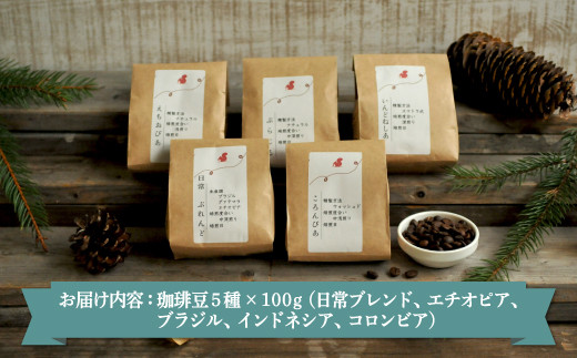 珈琲豆セット(100g×5種)北海道三笠市2BeansCoffeeカフェ自家焙煎【06001】