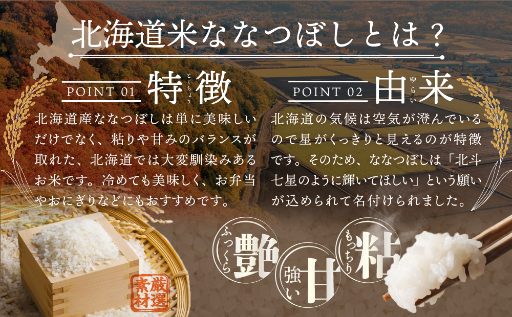 令和7年産【定期便(10kg×3カ月)】北海道産ななつぼし 五つ星お米マイスター監修＜2月より発送開始＞【1601803】