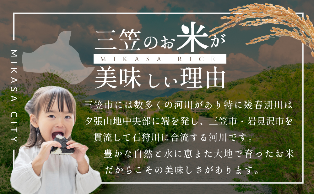 令和7年産【定期便(10kg×4カ月)】北海道産ななつぼし 五つ星お米マイスター監修＜2月より発送開始＞【1601902】