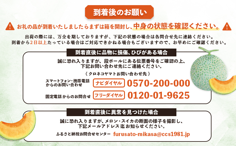 《2025年分受付中》とろける食感と甘い香り北海道三笠メロン2玉入（2.6kg以上）【0100101】