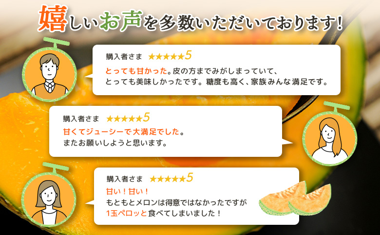 《2026年分受付中》とろける食感と甘い香り北海道三笠メロン2玉入（2.6kg以上）｜ メロン 先行予約 ２玉 フルーツ 2.6kg 果物 デザート グルメ 旬 取り寄せ 贈り物 ふるさと納税 三笠市 三笠【0100103】