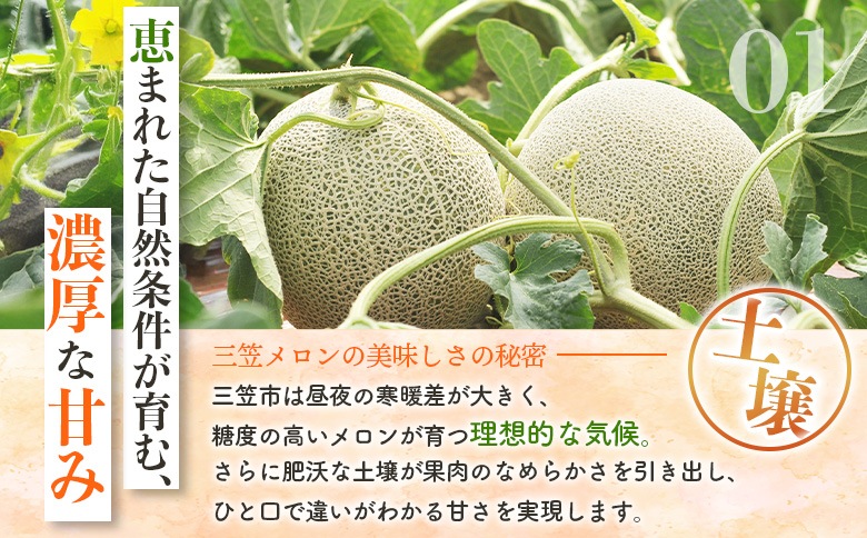 《2026年分受付中》とろける食感と甘い香り北海道三笠メロン2玉入（2.6kg以上）｜ メロン 先行予約 ２玉 フルーツ 2.6kg 果物 デザート グルメ 旬 取り寄せ 贈り物 ふるさと納税 三笠市 三笠【0100103】
