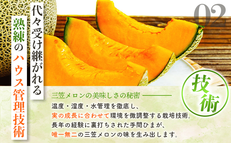 《2026年分受付中》とろける食感と甘い香り北海道三笠メロン2玉入（2.6kg以上）｜ メロン 先行予約 ２玉 フルーツ 2.6kg 果物 デザート グルメ 旬 取り寄せ 贈り物 ふるさと納税 三笠市 三笠【0100103】