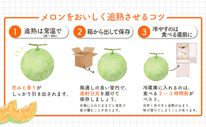 《2026年分受付中》とろける食感と甘い香り北海道三笠メロン2玉入（2.6kg以上）｜ メロン 先行予約 ２玉 フルーツ 2.6kg 果物 デザート グルメ 旬 取り寄せ 贈り物 ふるさと納税 三笠市 三笠【0100103】
