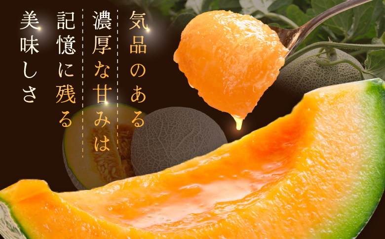 《2026年分受付中》とろける食感 北海道三笠メロン 2玉 (2.6kg以上) | メロン 三笠メロン 北海道メロン 北海道産メロン 国産メロン 赤肉メロン 赤肉 果物 フルーツ 青果 甘い 濃厚 ジューシー とろける食感 ブランドメロン 高級フルーツ 季節限定 夏 夏の味覚 2玉 2個 2.6kg 2.6kg以上 大玉 新鮮 フレッシュ お取り寄せ 北海道 三笠市 三笠【0100104】