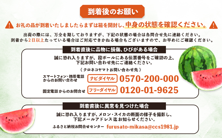 《2025年分受付中》『夏の女神』種が少なくて甘い黒皮スイカ1玉入（中玉4～6kg）【01005】