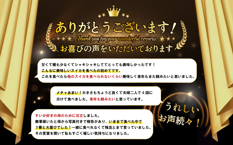 《2026年分受付中》『夏の女神』種が少ない黒皮スイカ 1玉 (大玉6～8kg) | スイカ すいか 西瓜 黒皮スイカ 夏の女神 ブランドスイカ 新ブランド 三笠産スイカ 国産スイカ 北海道産スイカ フルーツ 果物 甘い 高糖度 種が少ない 少ない種 黒種 黒い皮 夏 夏の味覚 季節限定 1玉 大玉 6kg 7kg 8kg 6～8kg お取り寄せ 北海道 三笠市 三笠【01061】