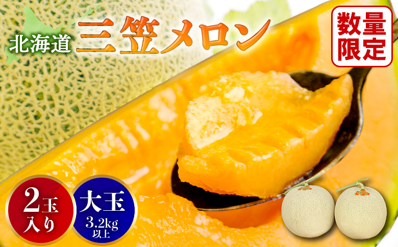 《2026年分受付中》大玉！とろける食感の北海道三笠メロン2玉入(3.2kg以上) | メロン 先行予約 ２玉 フルーツ 3.2kg 果物 デザート グルメ 旬 取り寄せ 贈り物 ふるさと納税 三笠市 三笠【0106202】