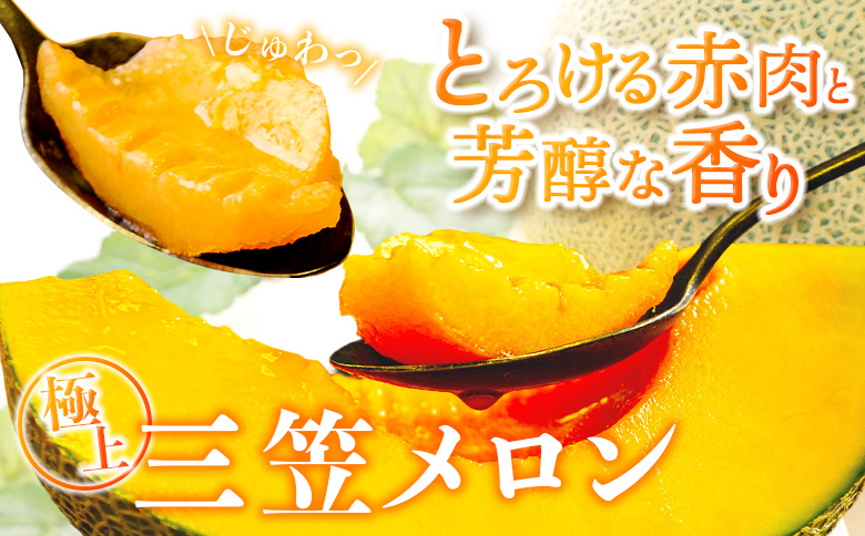 《2026年分受付中》大玉！とろける食感の北海道三笠メロン2玉入(3.2kg以上) | メロン 先行予約 ２玉 フルーツ 3.2kg 果物 デザート グルメ 旬 取り寄せ 贈り物 ふるさと納税 三笠市 三笠【0106202】