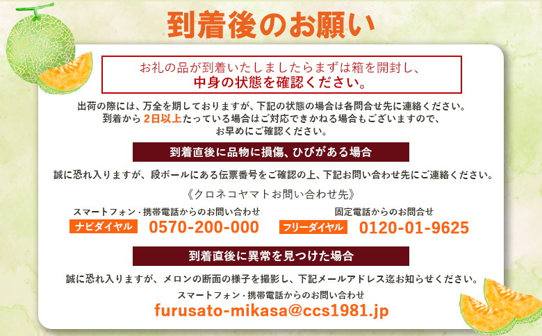 《2026年分受付中》大玉！とろける食感の北海道三笠メロン2玉入(3.2kg以上) | メロン 先行予約 ２玉 フルーツ 3.2kg 果物 デザート グルメ 旬 取り寄せ 贈り物 ふるさと納税 三笠市 三笠【0106202】