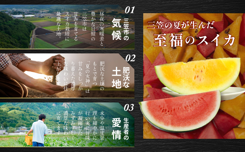 《2026年分受付中》スイカ2種 夏のほほえみ＆夏の女神 食べ比べセット | スイカ すいか 西瓜 黄色いスイカ 黄肉スイカ イエロースイカ 夏のほほえみ 黒皮スイカ 夏の女神 フルーツ 果物 夏 夏の味覚 季節限定 各1玉 計2玉 4kg 5kg 6kg 4～6kg 種が少ない 少ない種 黒種 黒い皮 スイカ食べ比べ スイカセット お取り寄せ 北海道 三笠市 三笠【01148】