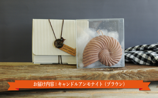 キャンドルアンモナイト（ブラウン）【38010】