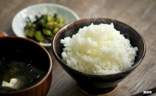 【令和7年産】10年連続優秀表彰受賞『ゆめぴりかの匠』 ゆめぴりか(5kg)《令和7年10月頃より発送予定》｜ ふるさと納税 北海道 三笠 米 コメ お米 北海道米 ブランド米 ご飯 ごはん お取り寄せ ワンストップ マイページ 富田農場 三笠市【4100102】