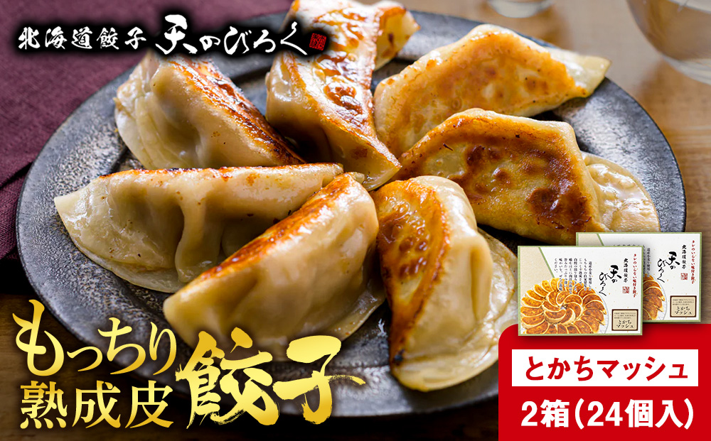 北海道餃子天のびろく　とかちマッシュ12粒入　2箱