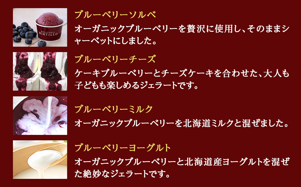 【 定期便 3ヶ月 】ブルーベリー ジェラート 【6個セット】 ミルティーロ アイス アイスクリーム お菓子 菓子 食べ比べ ギフト 千歳 北海道