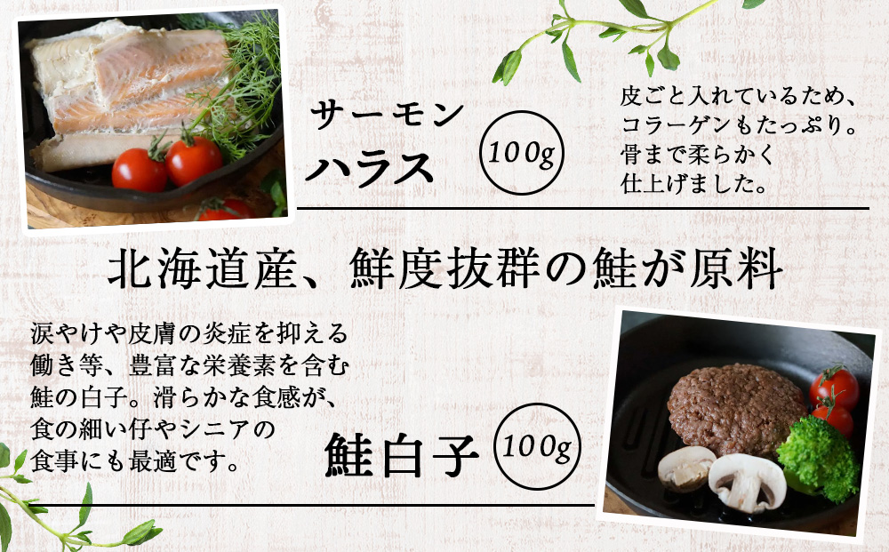 繧ィ繧セ鮖ソシ繧オ繝シ繝「繝ウ繝ャ繝医Ν繝医そ繝繝茨シ4遞ョ鬘橸シ