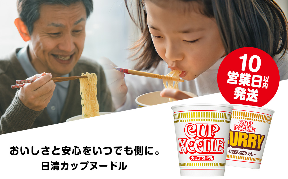 日清ヌードル2種セット カップヌードル・カレーヌードル10食 ラーメン ラーメン 麺 即席麺 麺類 カップ麺 インスタント カップラーメン