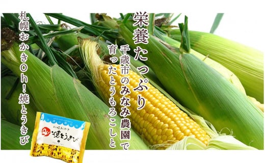 《 2025年 先行予約 》とうもろこし好き必見！とうもろこし「 恵味ゴールド 」と 札幌おかきOh！ 焼とうきび 2箱セット とうきび とうもろこし 野菜 コーン 菓子 お菓子 おかき 北海道 千歳