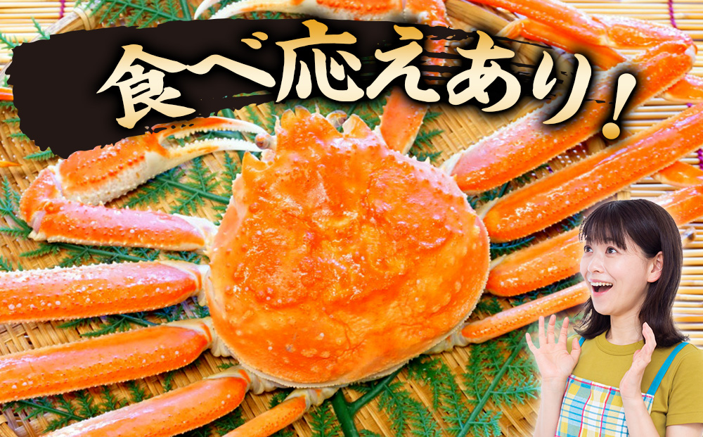 åæµ·éç£ã æãã§ ãèš³ãããªãªãºã¯ã€ã¬ã 800gè©° éç£å ãªãªãºã¯ã€ ã«ã è¹ èŠæ Œå€å äžæã èš³ã¢ãª èš³æã