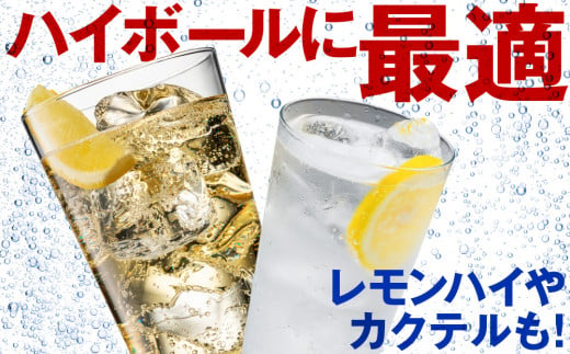 【定期便6ヵ月】セコマ レモン 強炭酸水 500ml 24本 1ケース 北海道 千歳製造 飲料 炭酸 ペットボトル