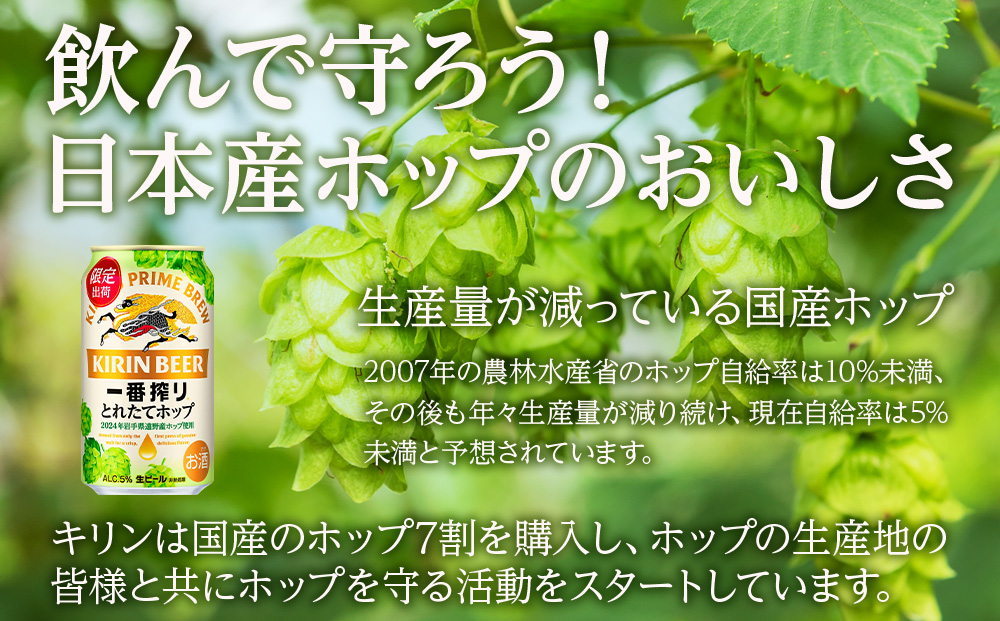 【11月5日発送開始！！】一番搾り とれたてホップ 生ビール ＜ 北海道 千歳工場産＞ 350ml （24本） 2ケース ビール 酒 キリン KIRIN　