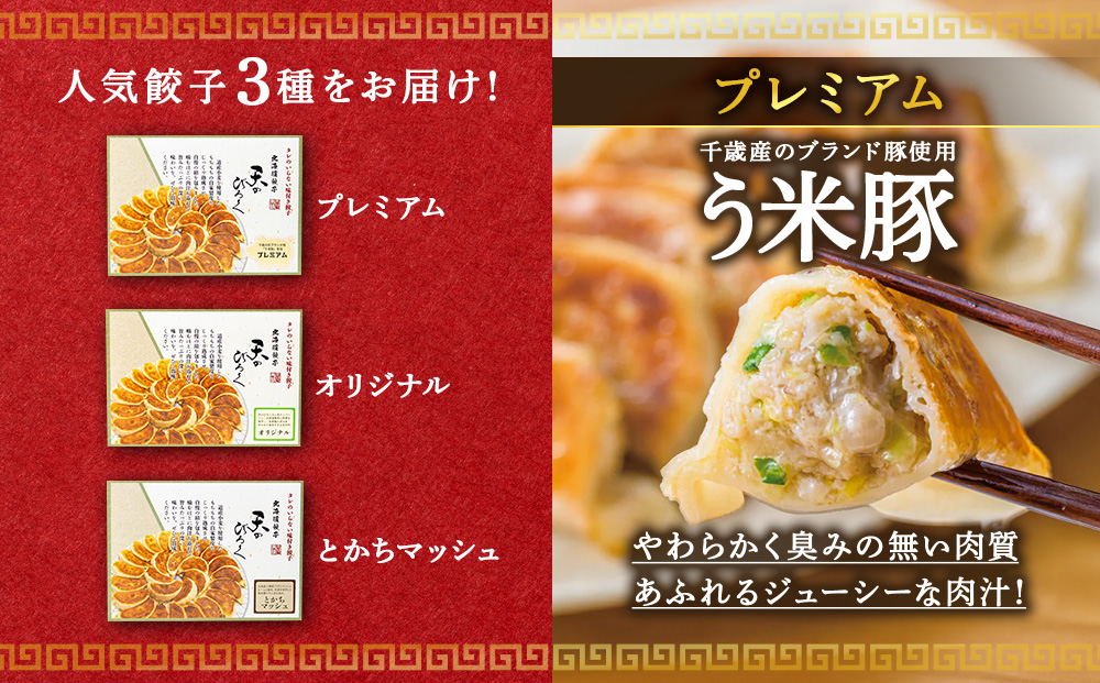 北海道餃子天のびろく 3種セット（オリジナル・とかちマッシュ・プレミアム）