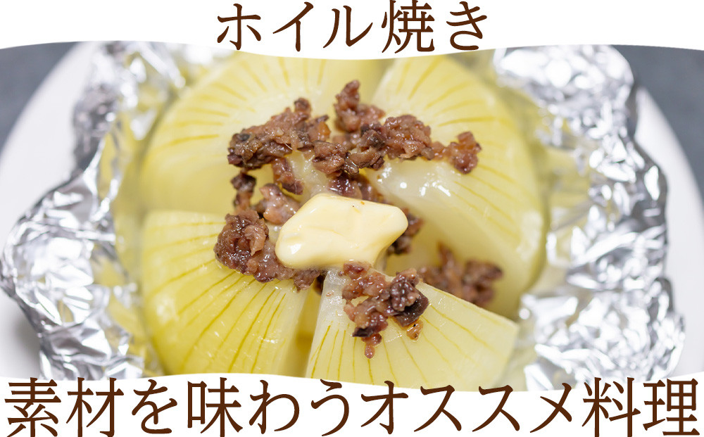 【先行予約】玉ねぎ 10kg LLサイズ 北海道 千歳市産 甘い たまねぎ 野菜 冷蔵 タマネギ 【假屋フードブリッジ】