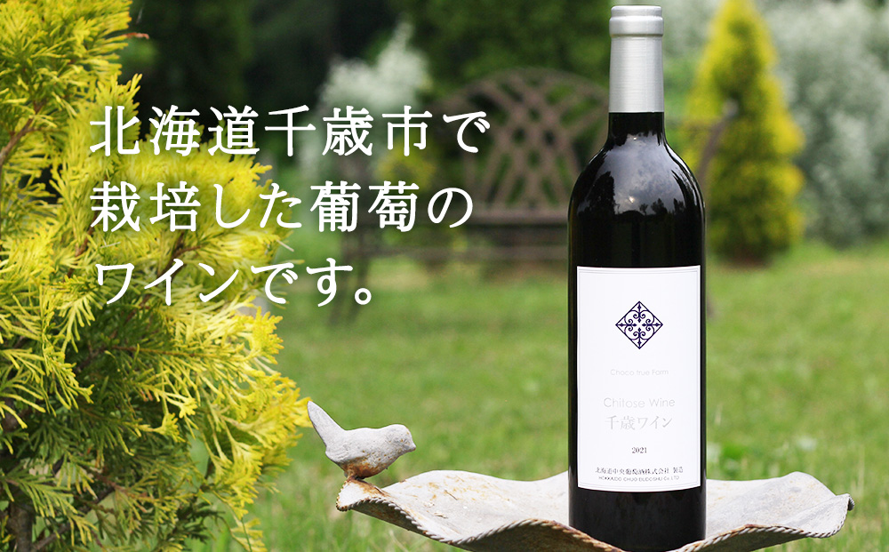 千歳ワイン2021（Chitose Wine）750ml 2本＜ ギフト箱 入 ＞　ワイン 酒 お酒 ギフト 千歳 北海道 2021