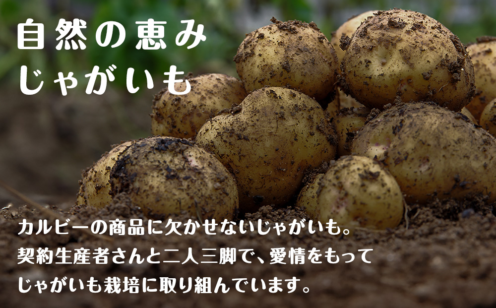 堅あげポテト＜うすしお＞12袋入×1箱 カルビー ポテトチップス 《千歳工場製造》