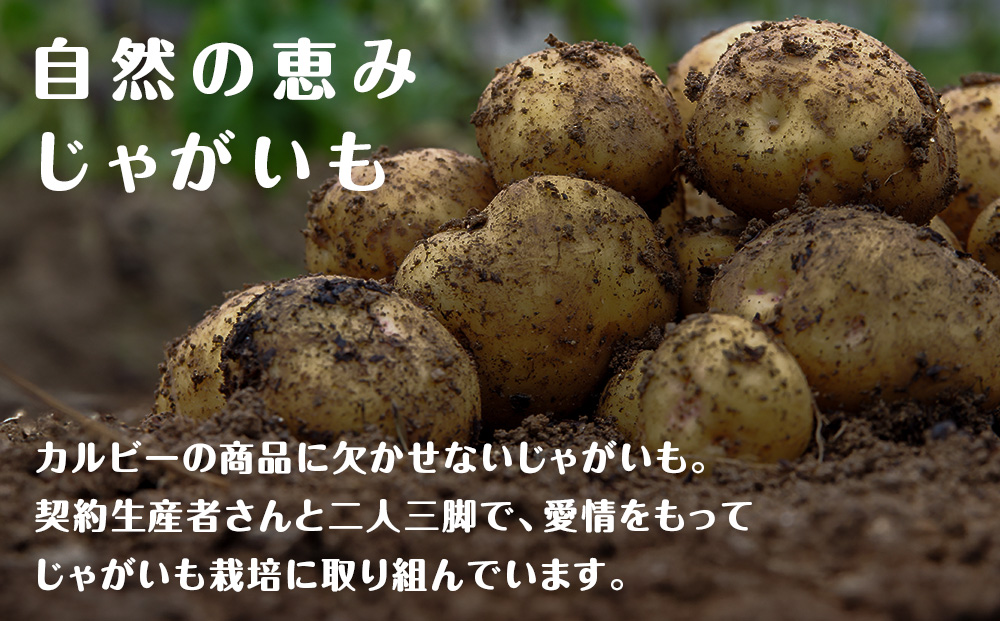 【定期便2カ月】【北海道限定】カルビー じゃがいも道 ほたてと昆布の旨しお味 12袋入×1箱 ポテトチップス《千歳工場製造》