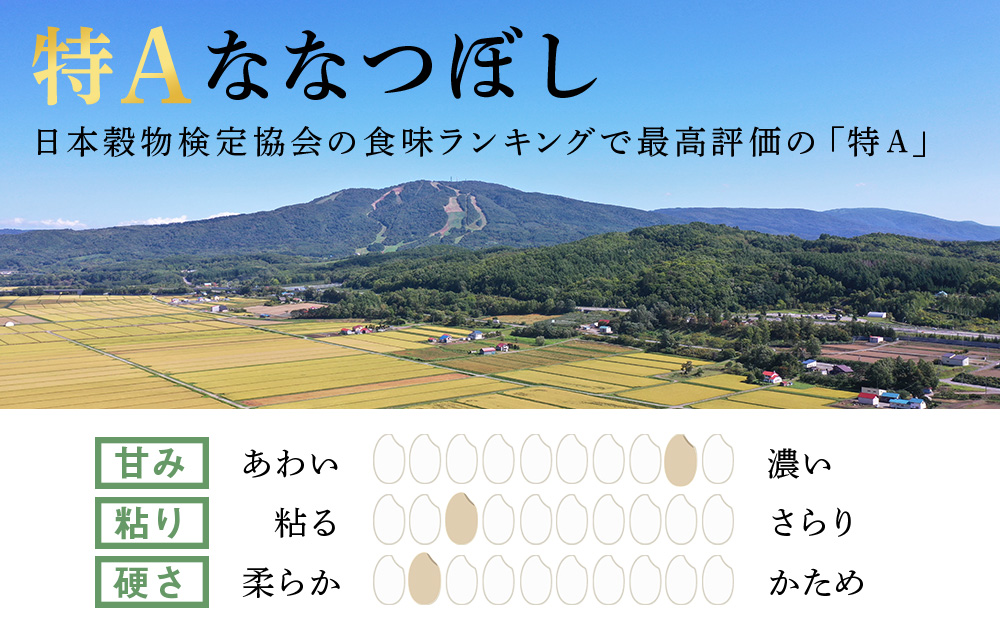 【定期便6回・上旬発送】北海道産ななつぼし 5kg(真空パック5kg×1袋) 特A お米  千歳 北海道米