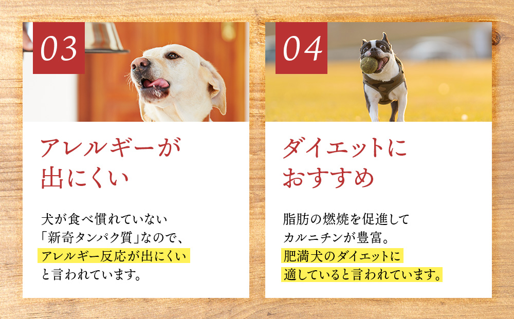 愛犬用　無添加おやつ コロコロエゾ鹿ミンチ　30g×1袋ペットフード 愛犬用 無添加 犬用おやつ ペット ドッグフード 犬用 SIZUKA