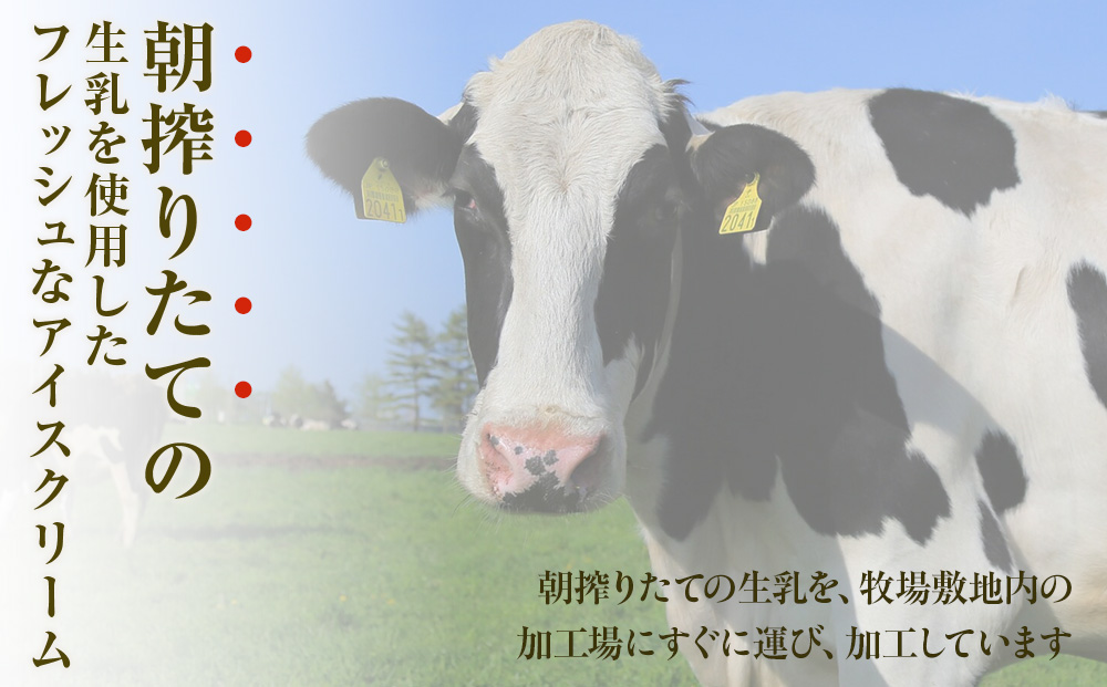 现柀ç§å Žã¢ã€ã¹ã18åïŒçä¹³Ã6å ãã¡ãÃ6å ãã¹ã«ããÃ6åïŒ