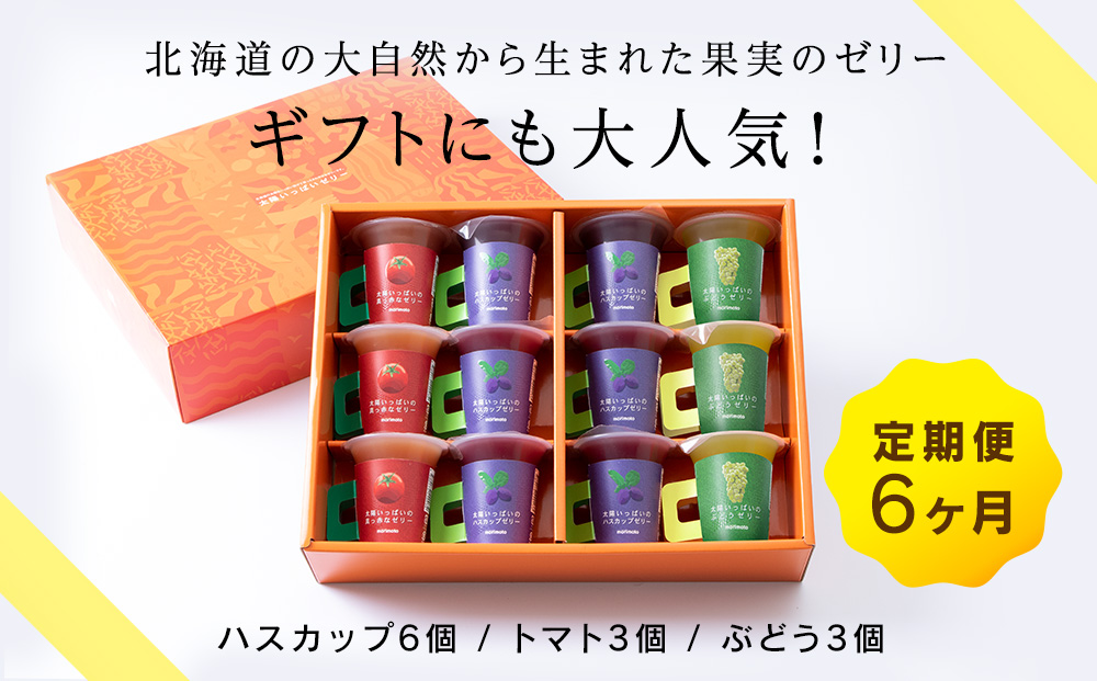 【定期便 全6回】 太陽いっぱいのゼリー詰合せ 12個 スイーツ 北海道 千歳 プレゼント ギフト 手土産 銘菓 《北海道千歳市 もりもと》