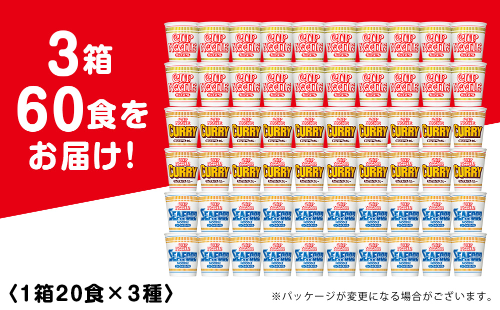 10営業日以内発送 日清ヌードル3種セット 各1箱（20食）合計3箱