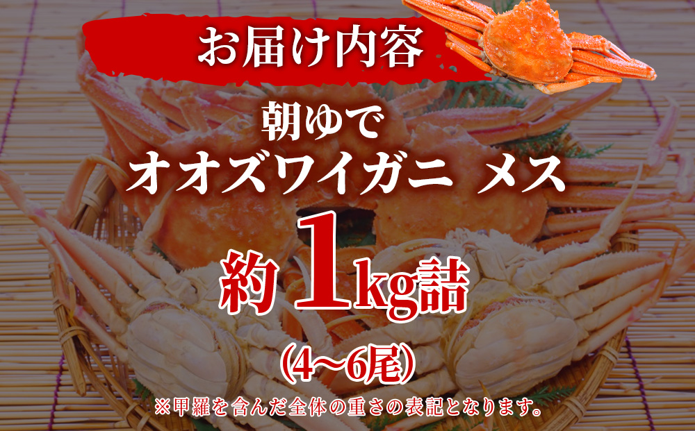 北海道産【朝ゆで】訳ありオオズワイガニ メス(小) 1.0kg詰 子持ち 内子 外子 道産品 オオズワイ ズワイガニ ずわい蟹 カニ 蟹 規格外品 不揃い 訳アリ 訳有り