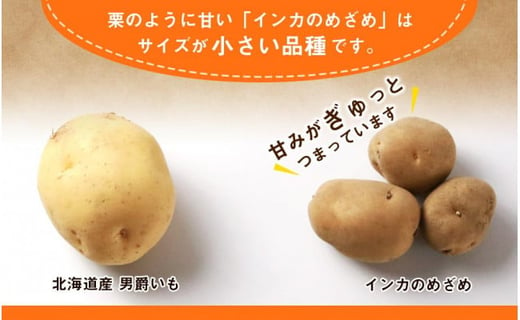 越冬 インカのめざめ 混合 20kg インカ いも 芋 じゃがいも 野菜 千歳 北海道