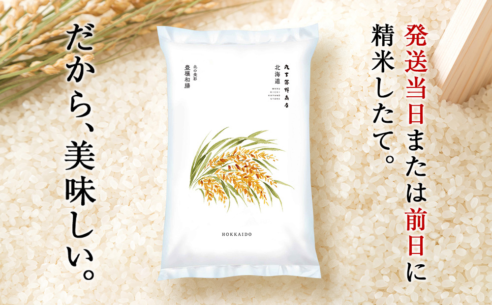【定期便12回・下旬発送】北海道産ななつぼし 5kg(真空パック5kg×1袋) 特A お米  千歳 北海道米