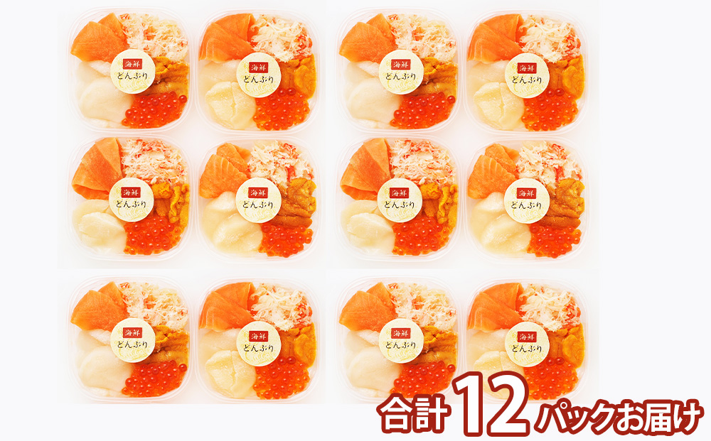 海鮮丼 具 60g×12 丼ぶり 刺身 海鮮セット 【北海道】【札幌バルナバフーズ】