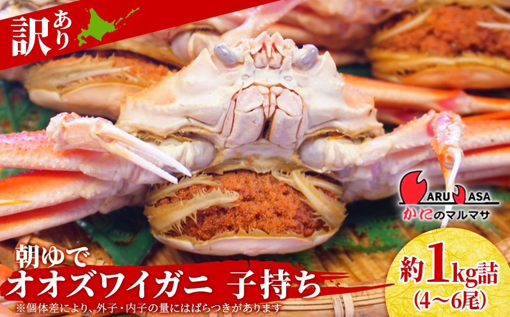 北海道産【朝ゆで】訳ありオオズワイガニ メス(小) 1.0kg詰 子持ち 内子 外子 道産品 オオズワイ ズワイガニ ずわい蟹 カニ 蟹 規格外品 不揃い 訳アリ 訳有り