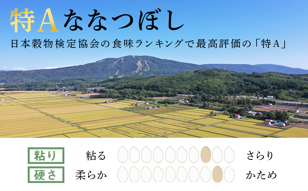 【7営業日以内発送】北海道産ななつぼし 5kg(通常パック5kg×1袋) 特Ａ お米 千歳 北海道米