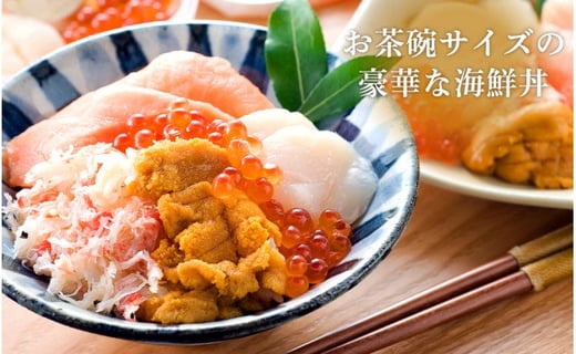 【定期便 全6回】北海道といえば！海鮮丼の具 60g×4個セット