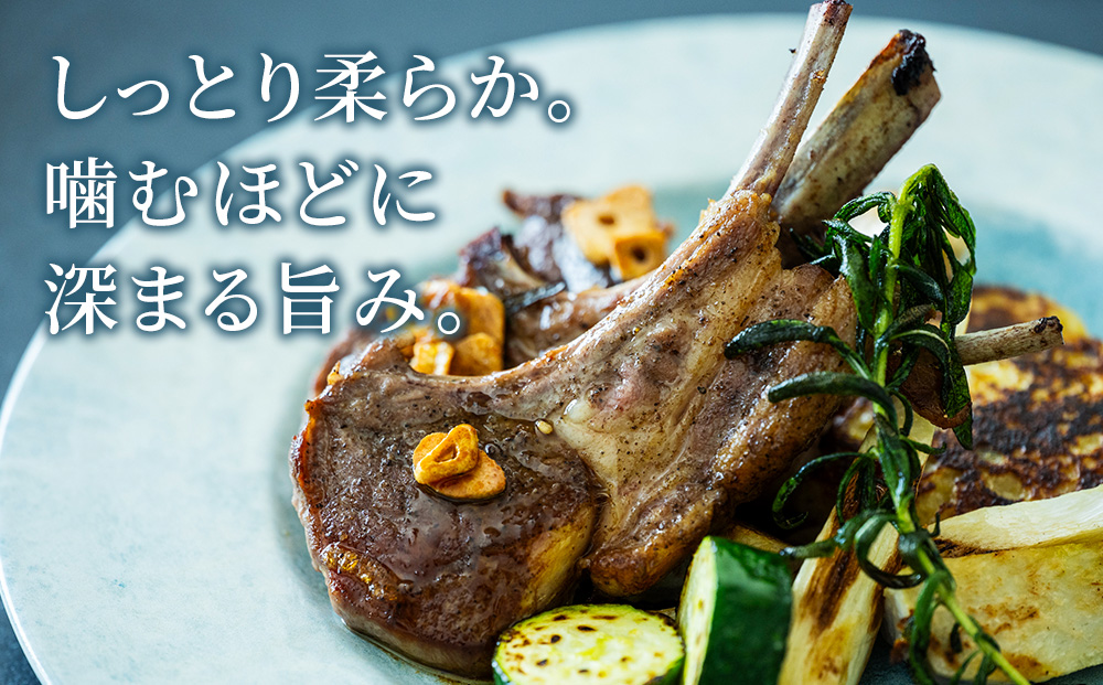 鬪ィ莉倥Λ繝繝ュ繝シ繧ケシ医Λ繝繝√Ι繝繝暦シ9譛ャ繧サ繝繝茨シ懆i縺ョ螻ア譛ャシ