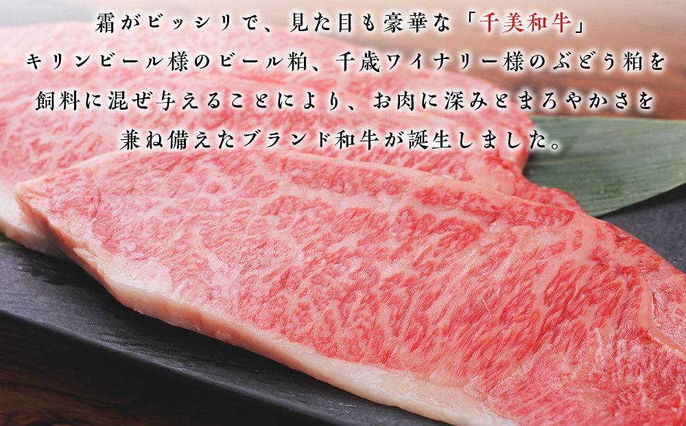 ちとせ和牛「千美」サーロインステーキ　200ｇ×4枚＜肉の山本＞