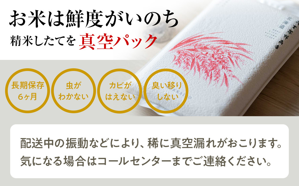 【定期便6回・上旬発送】北海道産ななつぼし 10kg(真空パック5kg×2袋) 特A お米  千歳 北海道米