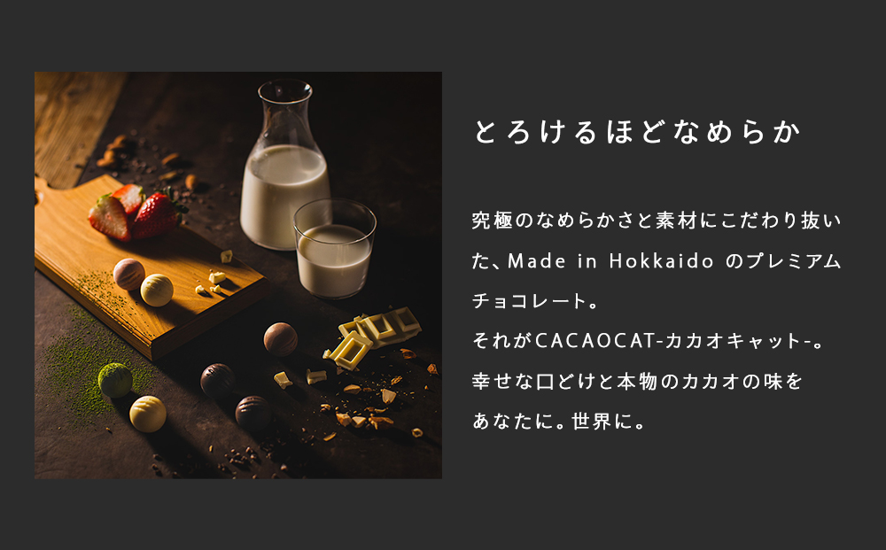 CACAOCAT黒猫ポーチ・マグカップセット