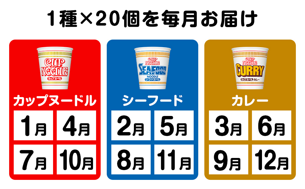 【頒布会12か月】日清　カップヌードルシリーズ20個入