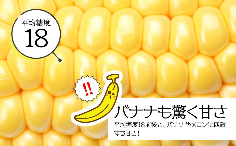 【先行予約】北海道 千歳産 とうもろこし 430ｇ以上 10本 恵味スター 野菜 トウモロコシ 甘い 旬 夏 BBQ ＜ファーム安澤＞