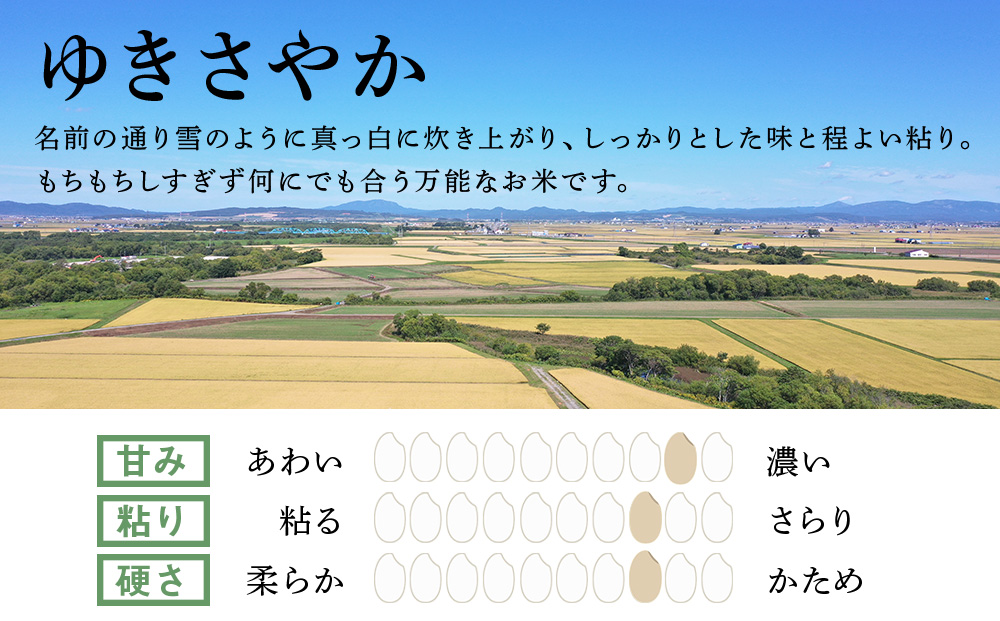 新米 北海道産 ゆきさやか 10kg ( 5kg × 2袋 ) 米 お米 5キロ 千歳 北海道 北海道米